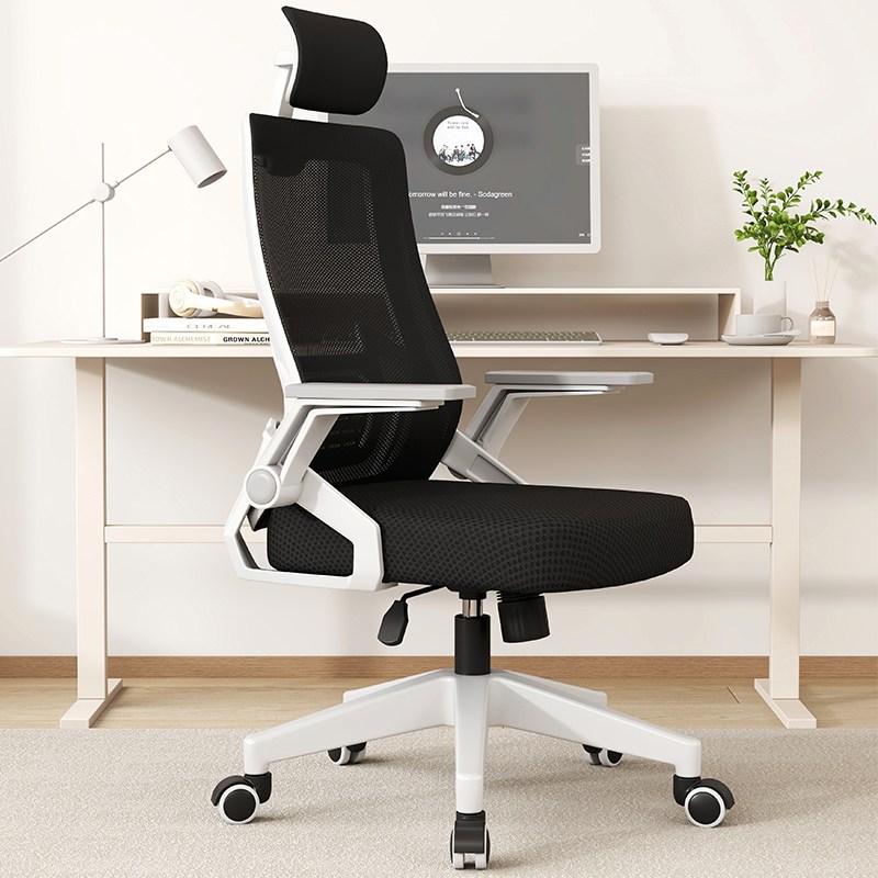 추천 인기 사무용의자 10개 지금 바로 구매하세요!